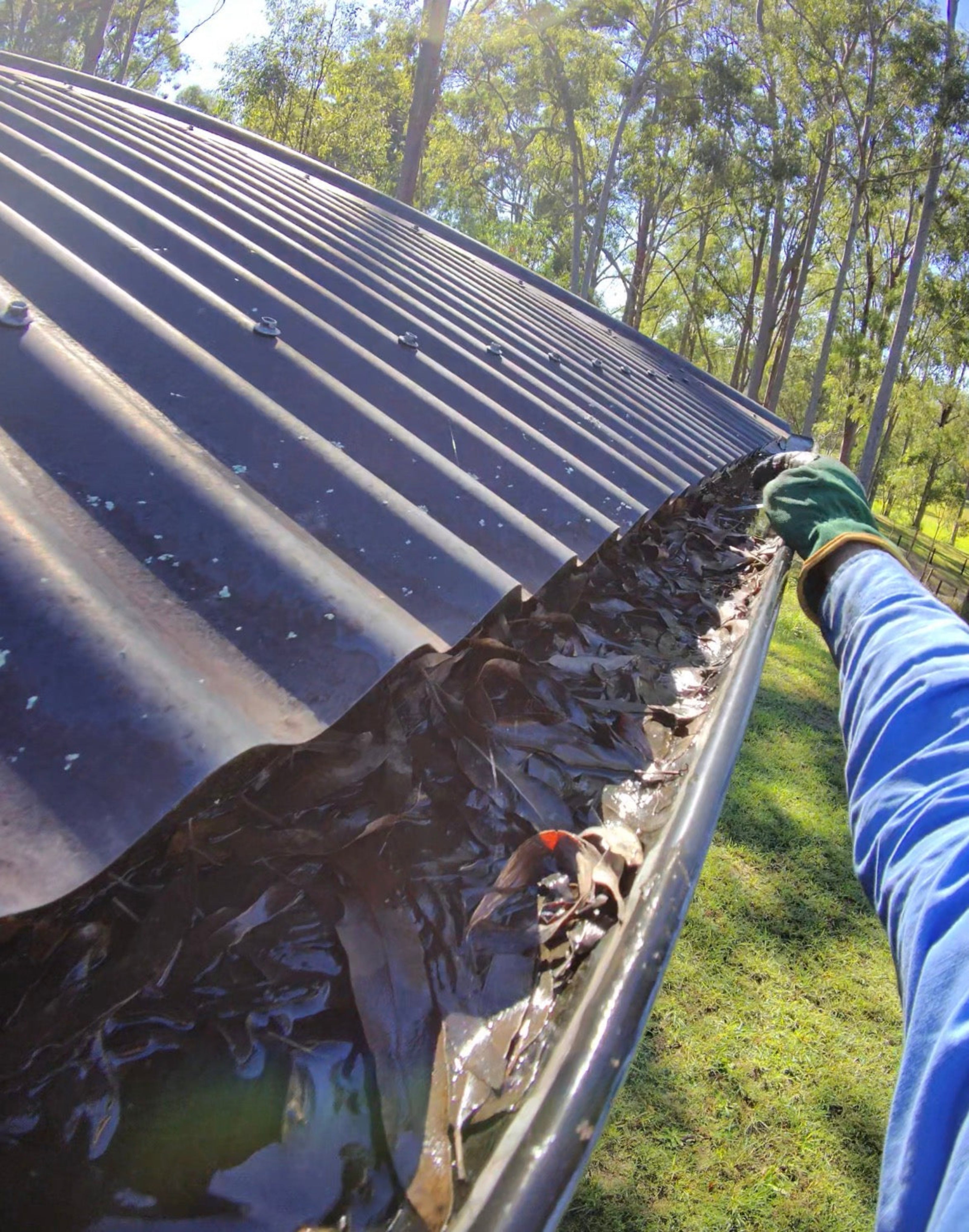 Gutter Cleaning Burleigh Waters